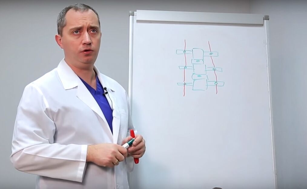 Bác sĩ cho thấy cấu trúc của cột sống
